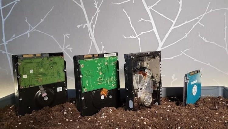 Майнери Chia перепродують SSD під виглядом нових