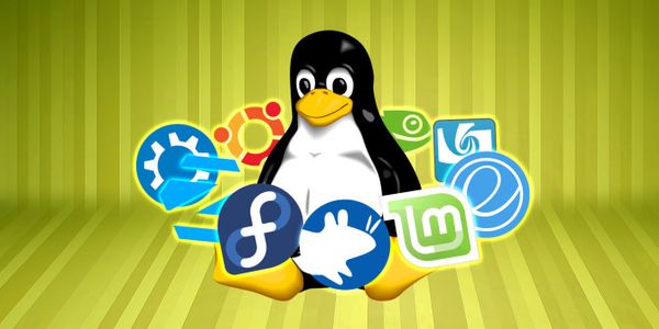 Як вивести список встановлених програм або пакунків у Linux (Ubuntu), FreeBSD, OpenBSD?
